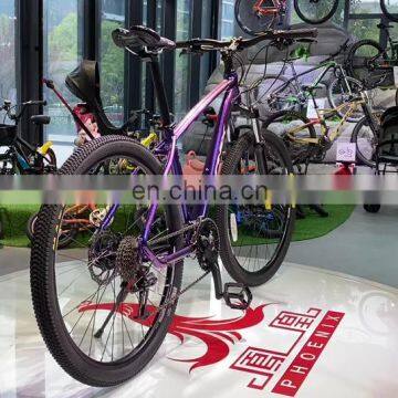 Female Male Factory Mountain Bicycle