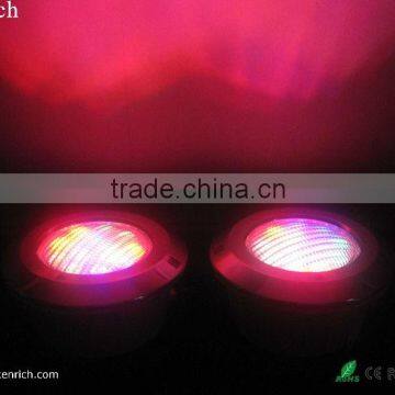 High Bright 12W LED Pool Light(RGB Color)