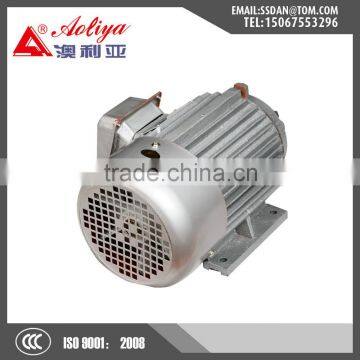 IE2 three phase electric motor