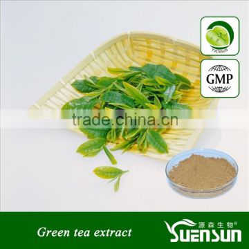 Pure natural herb extract/ green tea extract/green tea extract powder