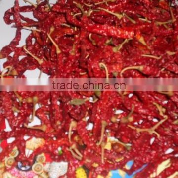 Indian bulk supply red chilli