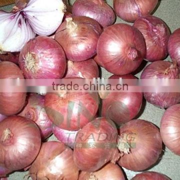 60mm size red onion red onions packing small size red onion