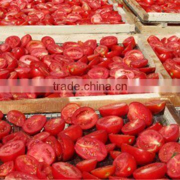 Hot Sun Dried Tomatoes Supplier prices