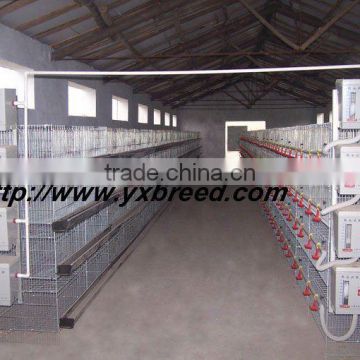 H type chicken farm broiler cages