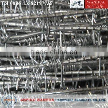 High Quality Motto Barbed Wire ( Professional Anping factory ISO9001)