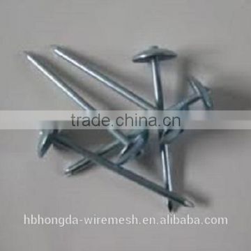 good quality galvanized roofing nail with umbrella head