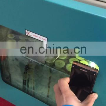 Epoxy Curing Vacuum Drying Oven