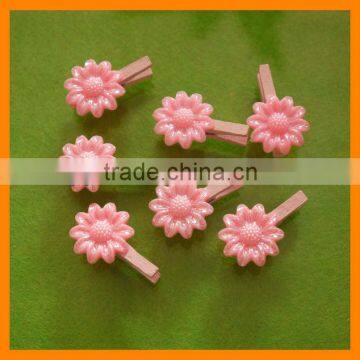 Party Peg, Pink Peg, Peg Decoration