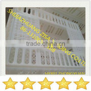 plastic transport cage for chicken poultry Good Quality good price