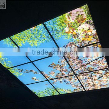led sky ceiling panel blossom image