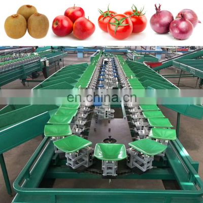Industrial automatic fruit grader machine auto small scale fruits weight sorter classify sorting grading line price for sale