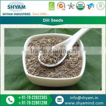 Best Demanded Dill Seeds Dealer / Exporter / Supplier