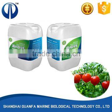 Hot selling good quality professional organic fertilizer manufacturing plant