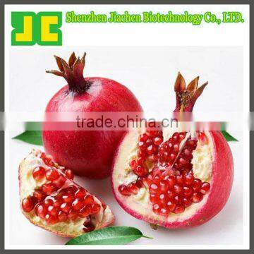 Organic Pomegranate Concentrate Powder 5:1,10:1