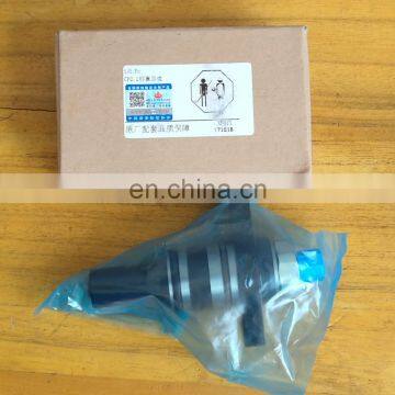 Diesel Fuel Injection Plunger CP2.2