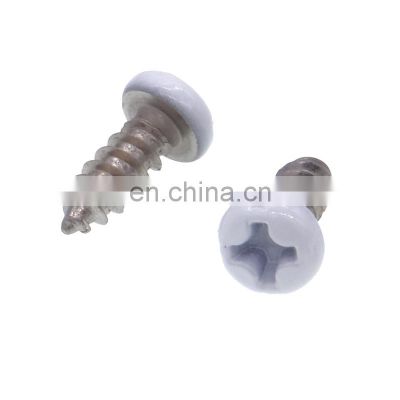 oval slotted countersunk head color painted screws