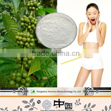 China Manufacturer Green Coffee Bean Extract 100% Natural Chlorogenic Acid