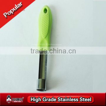 Fashion plastic handle stainless steel fruit tool core remover