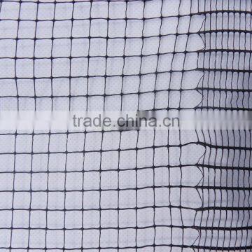 PP anti bird net for rice