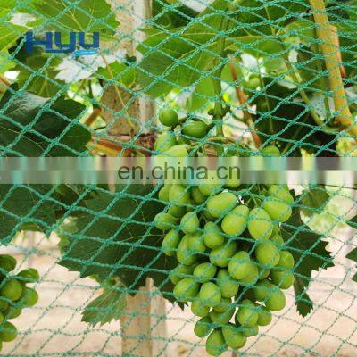 Bird Net Wholesale Knitted Anti Bird Net For Garden Fruit Vineyard Agricultural anti bird net