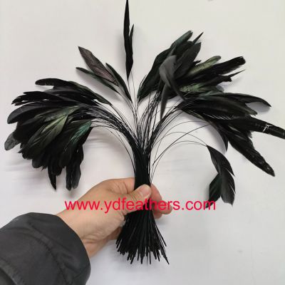 Stripped Dyed Black Rooster/Coque/Cock Tail Feather For Wholesale From China