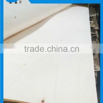 White poplar veneer AB grade for making door natural rotary cut