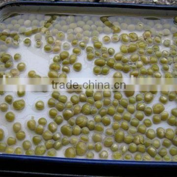 Good price Canadian raw material canned green peas