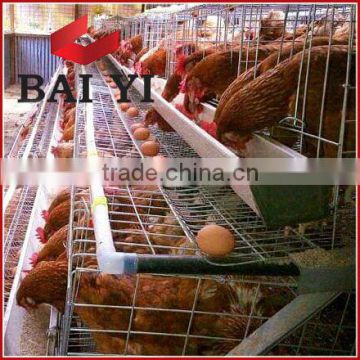 A Type and H Types of Poultry Cage System For Layers, Broilers, Day Old (Nigeria & Kenya Agent)