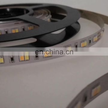 Dimmable CCT color changeable by remote controller IP68 silicone waterproof 3014 led tape light