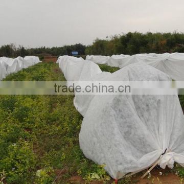 China Plant Cover Wholesaler, Cheap Nonwoven Fabric Of PlantCover