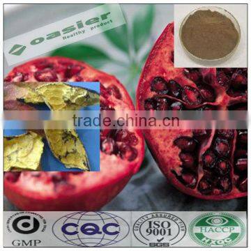 GMP hot sale natural pomegranate plants extract