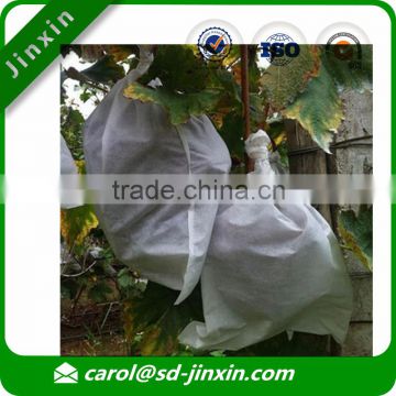 Cheap Pawpaw Bags/ Fruit Growing Protection Bags / Nonwoven Packing Bag/Fruit Cover Bag