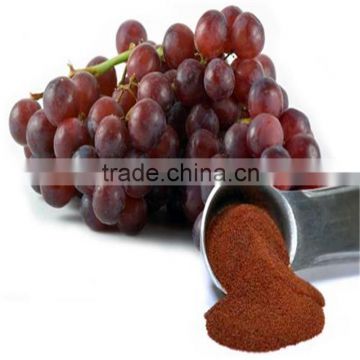 Top quality pure nature Red wine extract powder