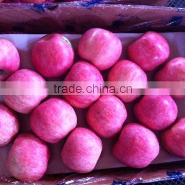 yan tai 80%+ coloration red fuji apple
