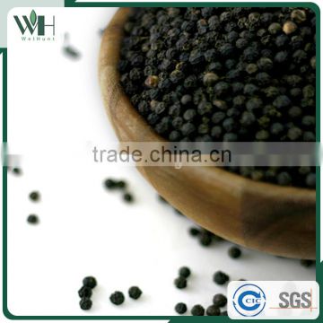 Vietnam best quality black pepper powder and black pepper 550gl 500gl