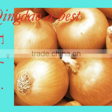 2014 crops Fresh yellow onion for sale