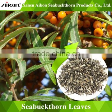 purely natural sea-buckthorn leaves tea