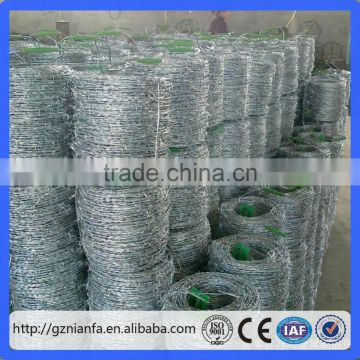 Ghana hot sale Galvnized Fencing wire for poultry/Security barbed fencing wire(Guangzhou Factory)
