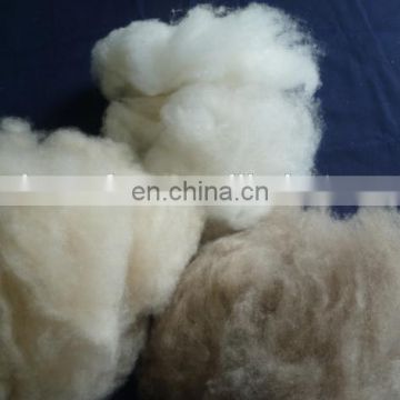 China Sharrefun factory goat hair cashmere fibres white/light grey/brown