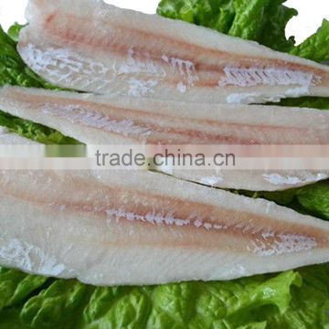 Frozen Cod Fillet, fish fillet(cod) all sizes