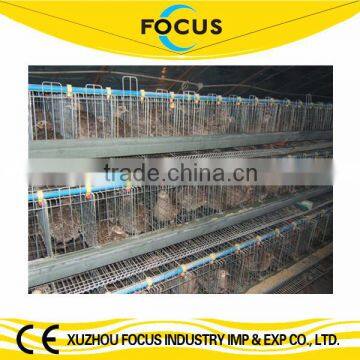 Focus industry baby chicken battery cage broiler battery cage with drinking line and fodder line