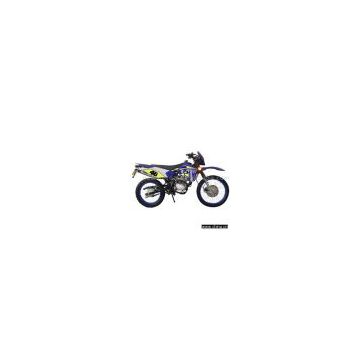Sell 50cc/125cc Dirt Bike with EEC Homologated
