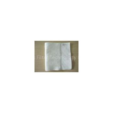 PE Staple Fiber / Monofilament / Long Thread Polyester Filter Cloth for Centrifuge / Vaccum Filter I