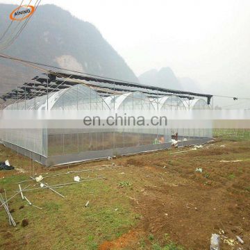 Low cost agricultural greenhouse plastic film for sale/ invernadero