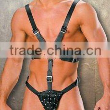 leather harness