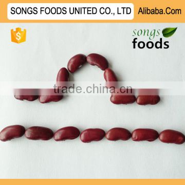 Agricultural Crops Dark Red Kidney Beans
