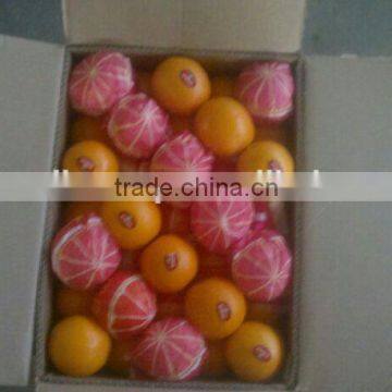 Common Cultivation Type / Lemon plus Orange / Fresh orange
