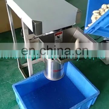 small 100-200kg/hr stainless steel industrial garlic crusher machine