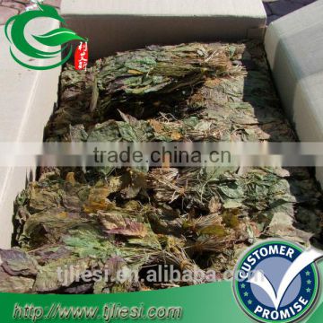 supply dried whole Ginseng leaf not extract