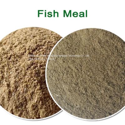 High protein fish meal